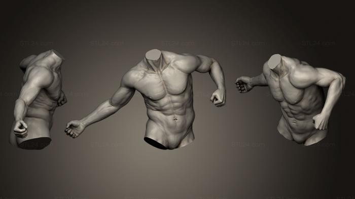 Anatomy of skeletons and skulls (Torso With Arms 5, ANTM_0193) 3D models for cnc